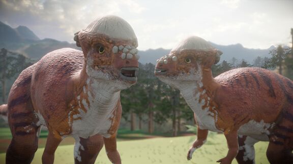 Puzzlopedia | Puzzle Pachycephalosaurus (Cretaceous)