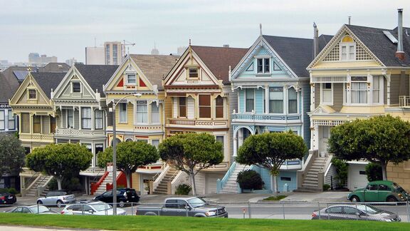 Puzzlopedia | Puzzle Painted ladies