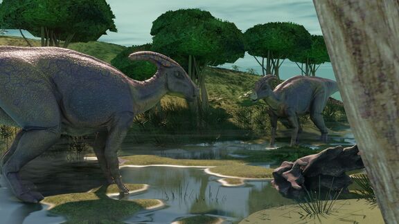 Puzzlopedia | Puzzle Parasaurolophus (Cretaceous)
