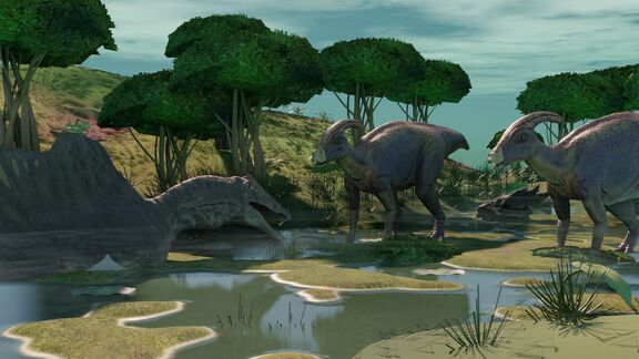 Puzzlopedia | Puzzle Parasaurolophus (Spinosaurus)(Cretaceous)