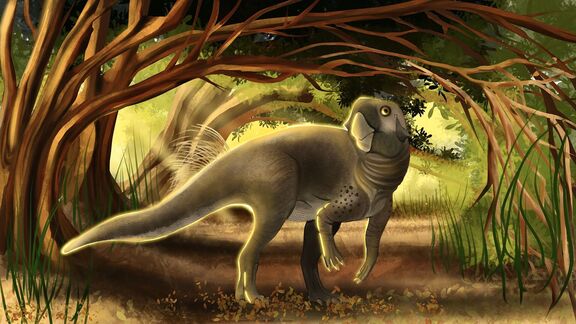 Puzzlopedia | Puzzle Psittacosaurus (Cretaceous)