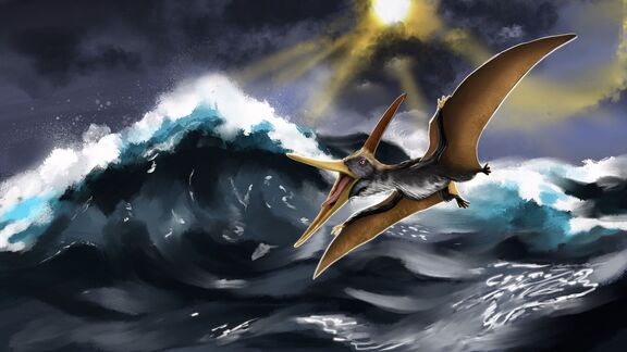 Puzzlopedia | Puzzle Pteranodon (Cretaceous)