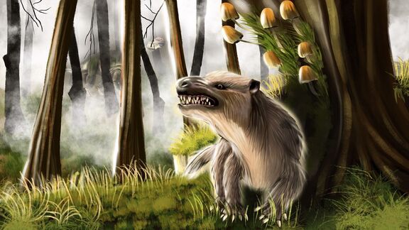 Puzzlopedia | Puzzle Repenomamus (Cretaceous)