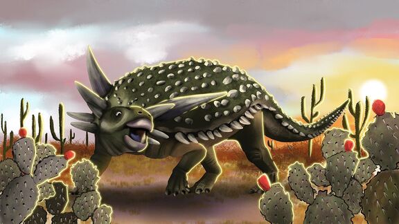 Puzzlopedia | Puzzle Sauropelta (Cretaceous)