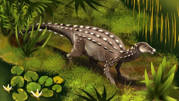 Puzzlopedia | Puzzle Scelidosaurus (Jurassic)