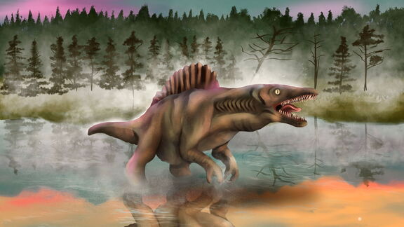 Puzzlopedia | Puzzle Spinosaurus 1936 (Cretaceous)