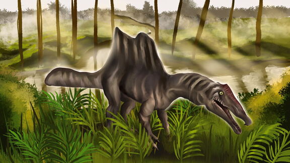 Puzzlopedia | Puzzle Spinosaurus 2020 (Cretaceous)