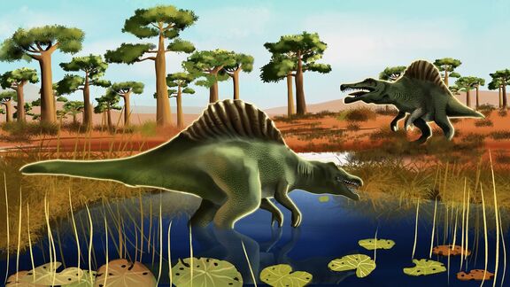 Puzzlopedia | Puzzle Spinosaurus (Cretaceous)