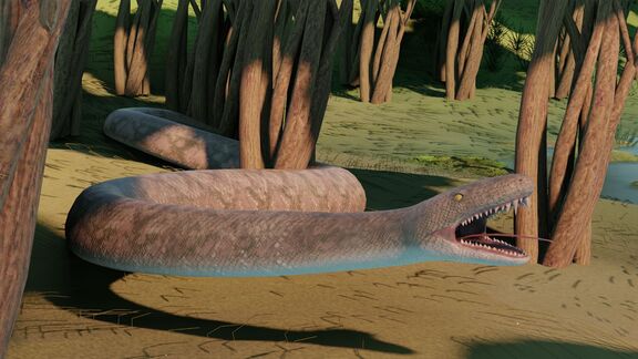 Puzzlopedia | Puzzle Titanoboa (Cenozoic)