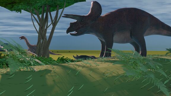 Puzzlopedia | Puzzle Triceratops (Cretaceous)