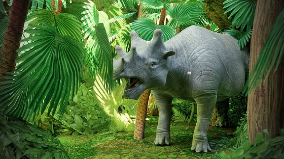 Puzzlopedia | Puzzle Uintatherium (Cenozoic)