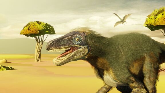 Puzzlopedia | Collection Velociraptor (Cretaceous)