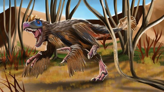 Puzzlopedia | Puzzle Velociraptor (Cretaceous)