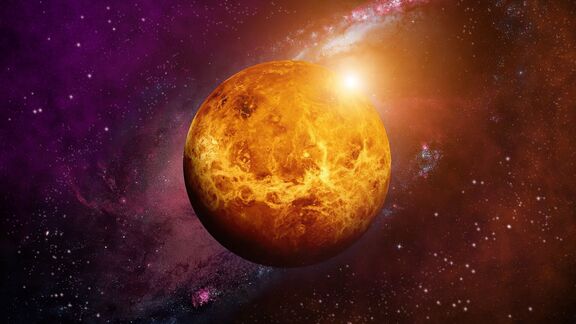 Puzzlopedia | Puzzle Venus