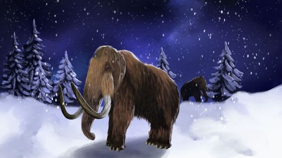 Puzzlopedia | Puzzle Woolly mammoth (Cenozoic Era)
