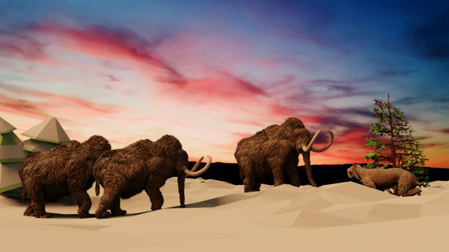 Puzzlopedia | Puzzle WoolyMammoth (Cenozoic)